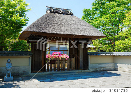 京都　春光院　高台寺の塔頭寺院 54314756