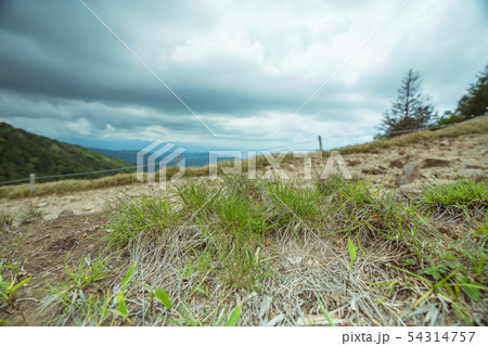 【背景素材】 山で撮った草原の写真 【背景素材】 山で撮った草原の写真 54314757