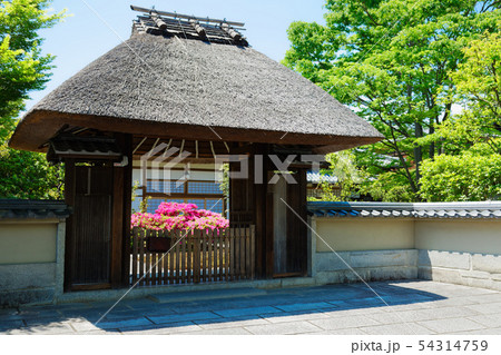 京都 春光院 高台寺の塔頭寺院 京都 春光院 高台寺の塔頭寺院 54314759