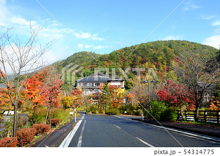 岩手県花巻市の山の神温泉 54314775