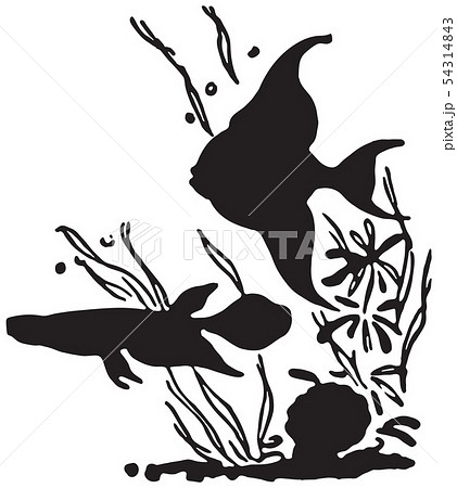 Tropical Fish Tropical Fish 54314843