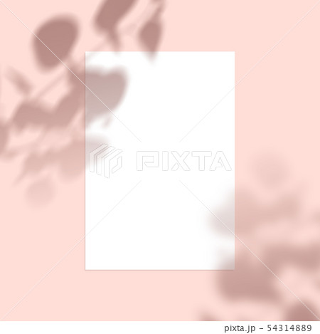 木 テーブル 春 54314889
