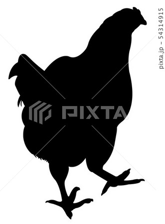 a chicken body silhouette vector 54314915