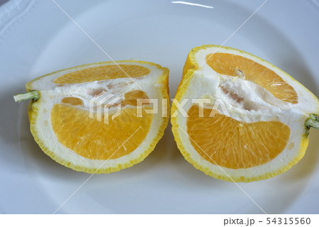 自宅でなった甘夏みかん 54315560