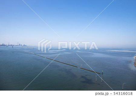 【中の島大橋からの眺望】 54316018