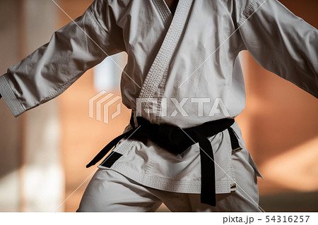 karateka 54316257