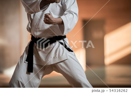 karateka karateka 54316262