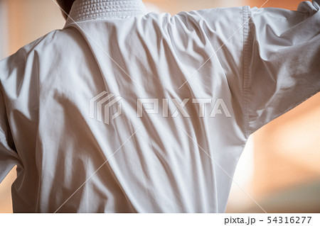 karateka karateka 54316277
