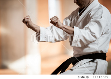 karateka 54316289