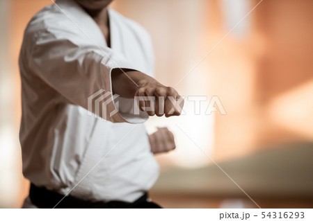 karateka karateka 54316293