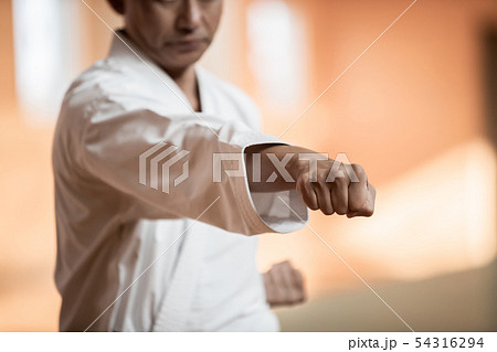 karateka 54316294
