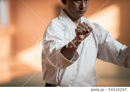 karateka karateka 54316297