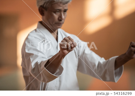 karateka karateka 54316299