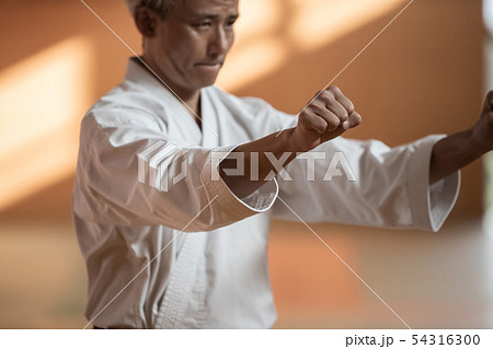 karateka karateka 54316300