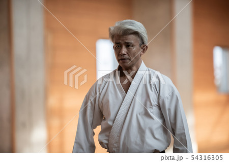 karateka 54316305