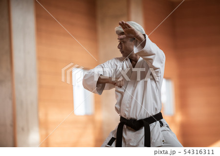 karateka karateka 54316311