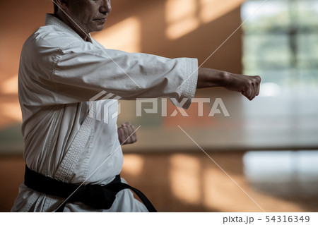karateka karateka 54316349