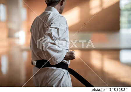 karateka 54316384
