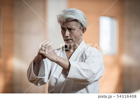 karateka karateka 54316408