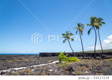 プウホヌア・オ・ホナウナウ国立歴史公園 54317239