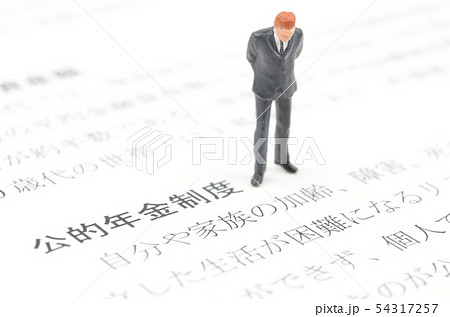 公的年金制度 公的年金制度 54317257