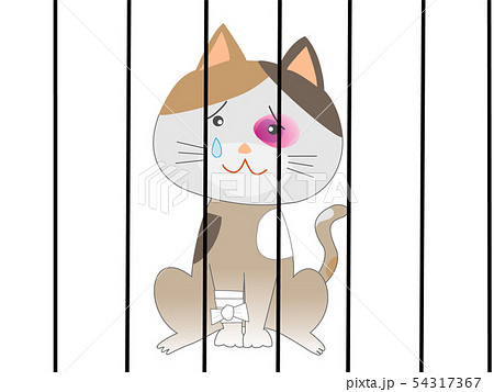 檻の中に監禁された猫 のイラスト素材