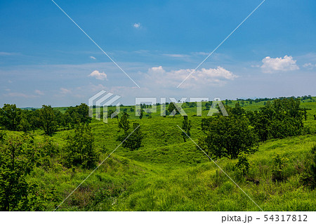 風景 風景 54317812