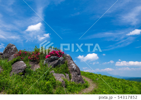 風景 54317852