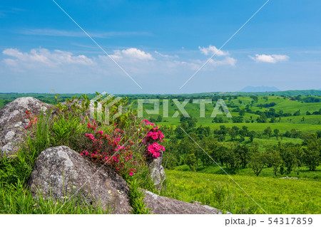 風景 風景 54317859