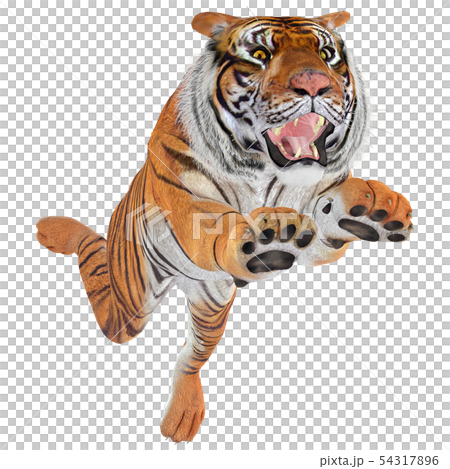 ジャングルの王☆虎 54317896