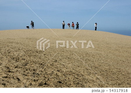 鳥取　四季の散歩　夏　砂丘 54317918