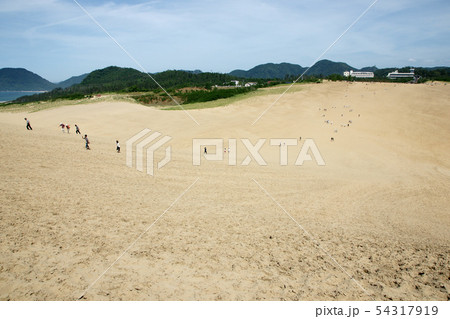 鳥取　四季の散歩　夏　砂丘 54317919