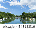 井の頭公園 ボート6月 54318619