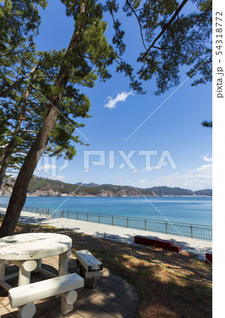 釜石 根浜海岸 54318772