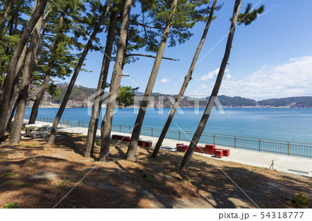 釜石 根浜海岸 54318777