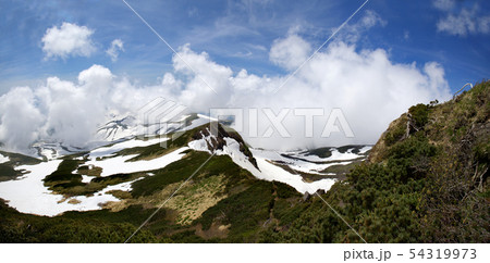 野生の花 雲 景色 54319973