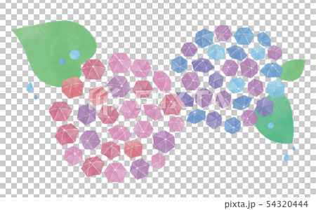傘あじさいの花と雨 傘あじさいの花と雨 54320444