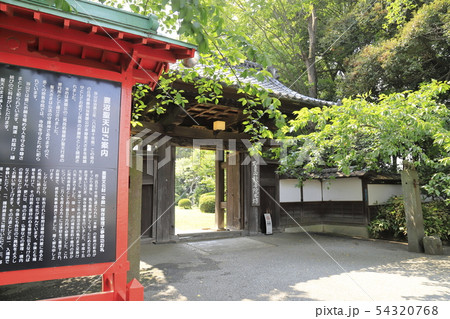 妻沼聖天山 歓喜院本坊 埼玉県熊谷市 妻沼聖天山 歓喜院本坊 埼玉県熊谷市 54320768