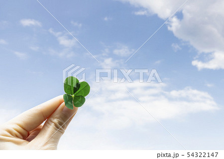 四葉のクローバー 54322147