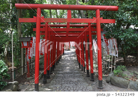 鳥居 鳥居 54322349