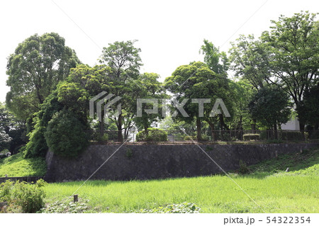 鳴海城跡公園 鳴海城跡公園 54322354