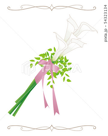 ブライダル ブーケ イラスト カラー Braidal Bouquet Calla Lily 2のイラスト素材