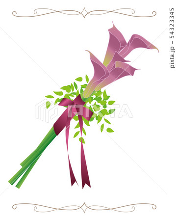 ブライダル ブーケ イラスト カラー Braidal Bouquet Calla Lily ワインのイラスト素材