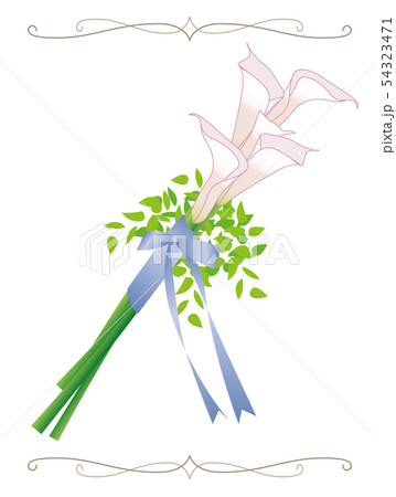 ブライダル ブーケ イラスト カラー braidal bouquet Calla lily ピンク ブライダル ブーケ イラスト カラー braidal bouquet Calla lily ピンク 54323471