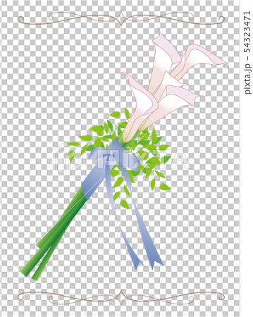 ブライダル ブーケ イラスト カラー braidal bouquet Calla lily ピンク ブライダル ブーケ イラスト カラー braidal bouquet Calla lily ピンク 54323471