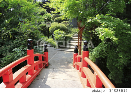 妻沼聖天山 平和の塔に通ずる平和橋 埼玉県熊谷市 妻沼聖天山 平和の塔に通ずる平和橋 埼玉県熊谷市 54323615