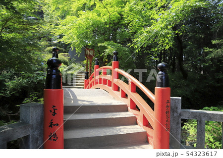妻沼聖天山　平和の塔に通ずる平和橋　埼玉県熊谷市 54323617