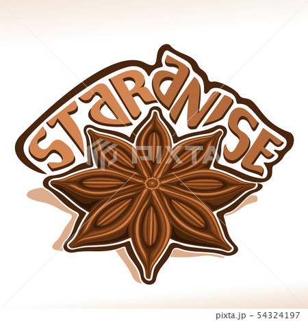 Vector logo for Star Anise 54324197