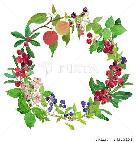 berry wreath 54325151