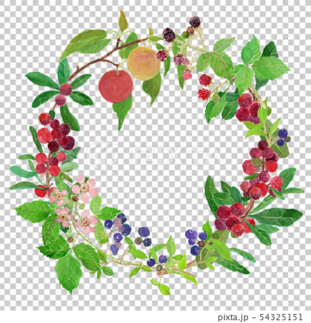 berry wreath 54325151